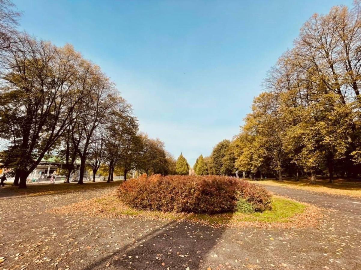 Apartamenty Ktw Park Slaski - Family Delux Katovice Exteriér fotografie